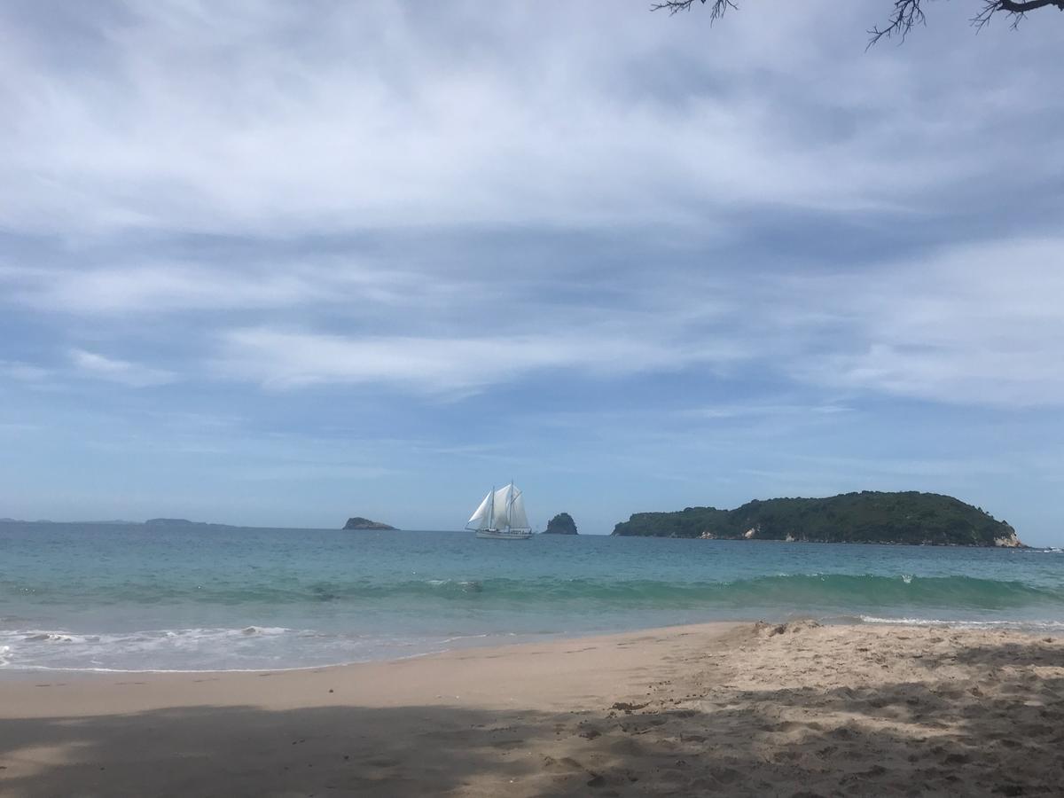 Hahei Getaway Διαμέρισμα Εξωτερικό φωτογραφία